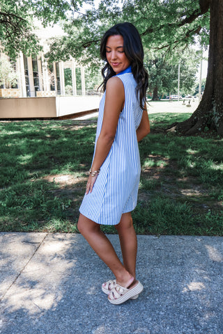 Patriotic Party • Blue Stripes