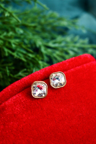 Sparkle On Stud Earrings • Clear