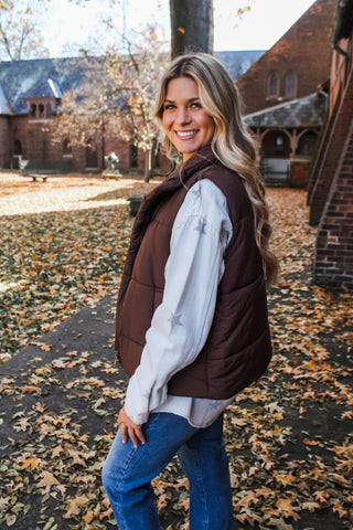 Classic Christmas Puffer Vest • Brown