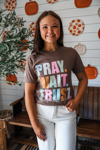 Pray Wait Trust Graphic Tee • Mocha