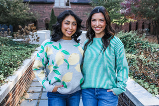 Love & Lemons Sweater • Grey