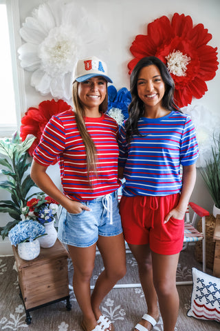 Stripes On Stripes Crewneck • Blue
