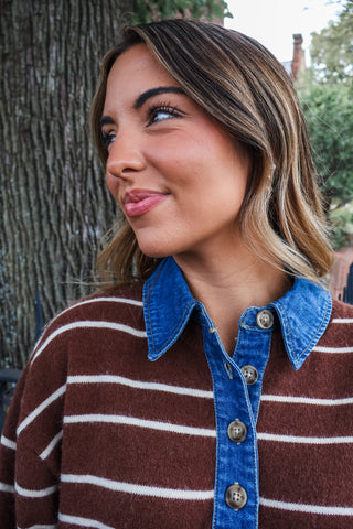 Striped Study Polo Sweater • Chocolate