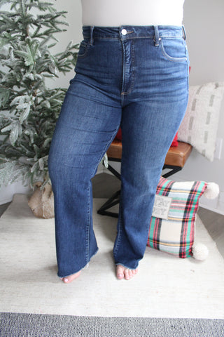 Callie Frayed Hem Straight | Tummy Control • Dark Wash - PLUS