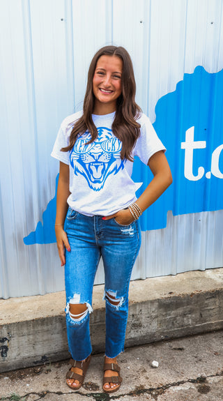 Wildcat Spirit Graphic Tee • Ash Grey