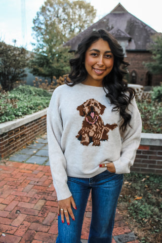 Full Of Joy Puppy Sweater • Oatmeal