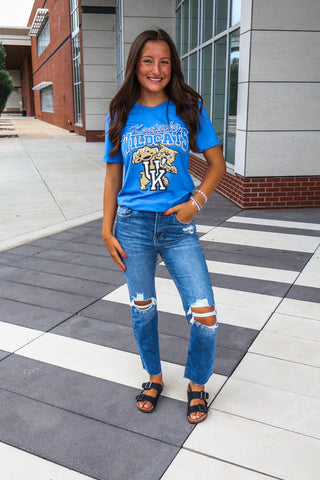 Vintage Wildcats Graphic Tee • Heather Blue