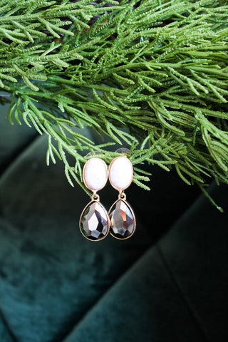 Polished Perfection Dangle Earrings • Smoke