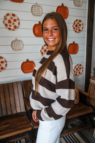 Cozy & Classic Stripes • Dark Chocolate
