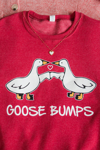 Goose Bumps Graphic Sweatshirt • Heather Red
