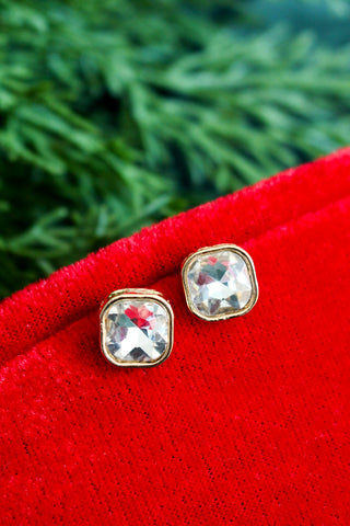 Sparkle On Stud Earrings • Clear