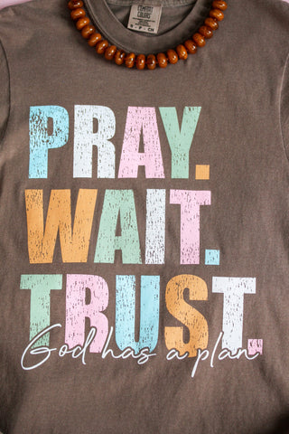 Pray Wait Trust Graphic Tee • Mocha