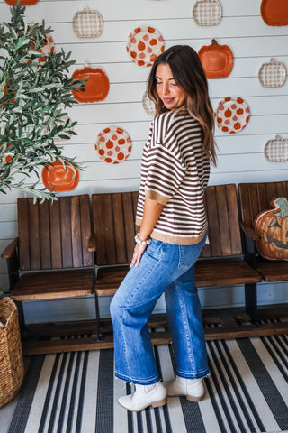 Fall Fest Stripes • Brown Mix
