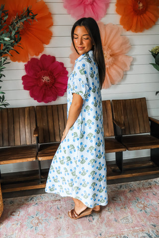Wildflower Whimsy Shirtdress • Blue Stripe