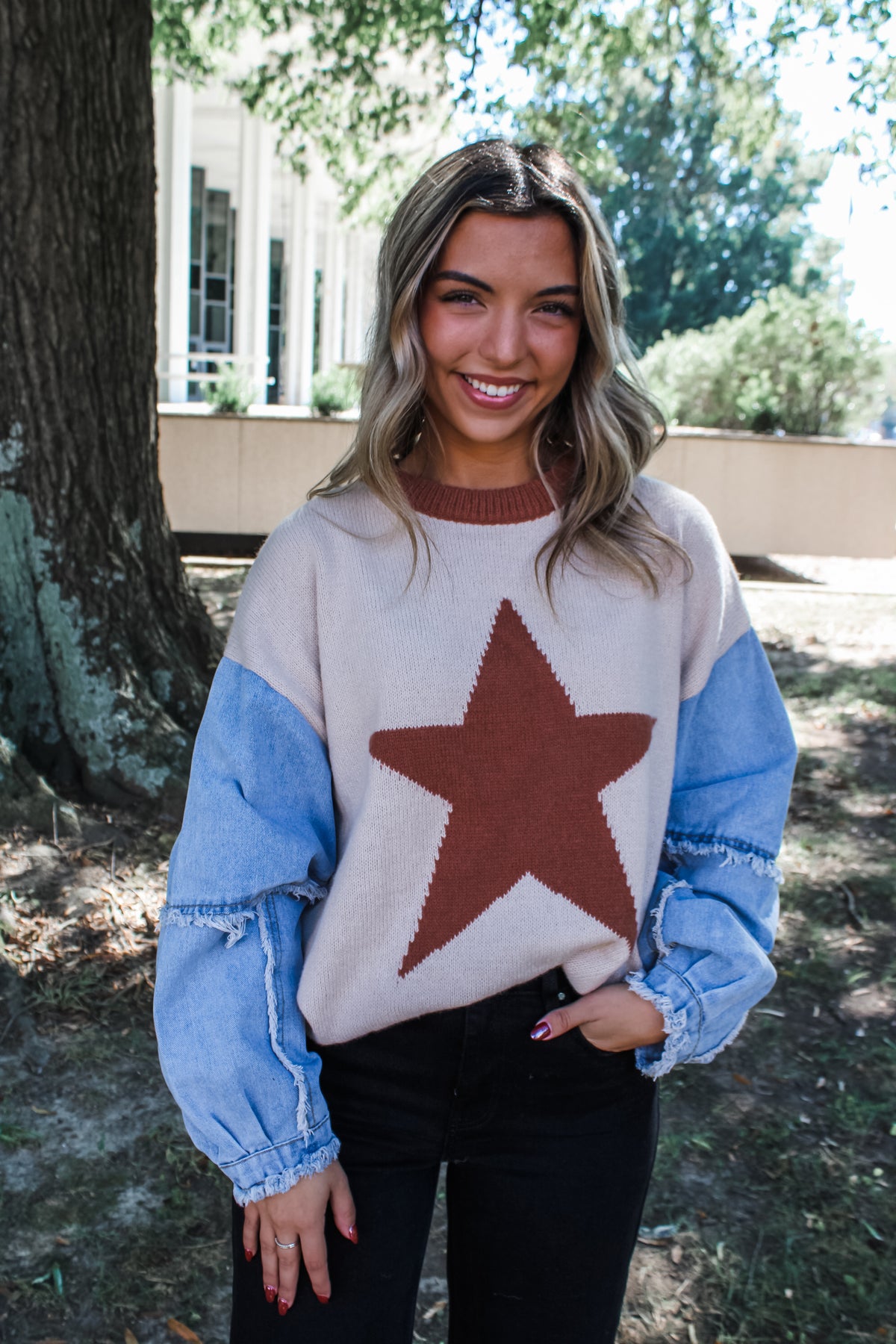 All Star Denim Sleeve Sweater • Oatmeal