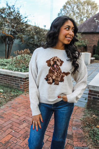 Full Of Joy Puppy Sweater • Oatmeal