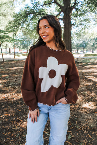 Darling Daisy Sweater • Brown - FINAL SALE
