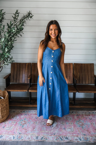 Day Trips Denim Dress