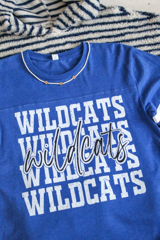 Wildcats Varsity Stripe Graphic Tee • Heather Blue