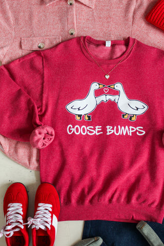 Goose Bumps Graphic Sweatshirt • Heather Red