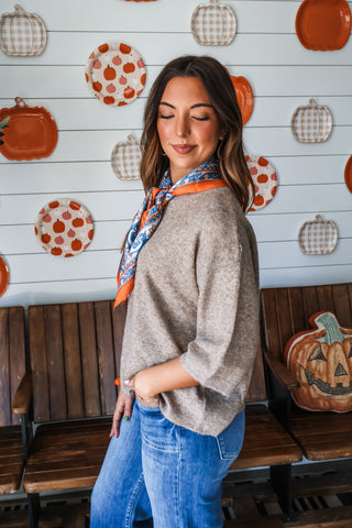 Cashmere Cozy • Wheat