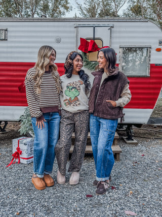 Cocoa & Cozy Striped Pullover • Brown