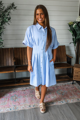 Hey Batter Batter ~chambray blue stripe dress