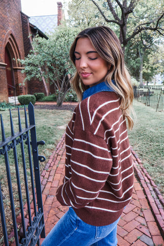 Striped Study Polo Sweater • Chocolate