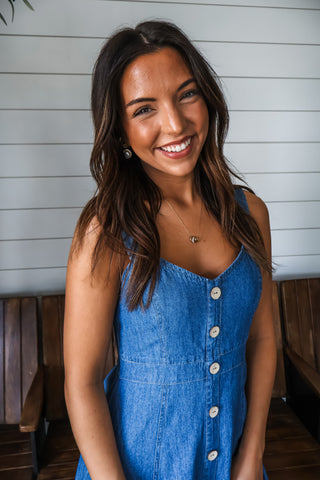 Day Trips Denim Dress