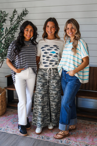 Color Crush Stripes • Charcoal