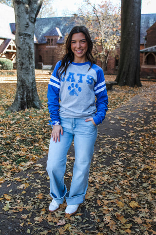 Cats & Christmas Varsity Striped Sleeve Graphic Tee