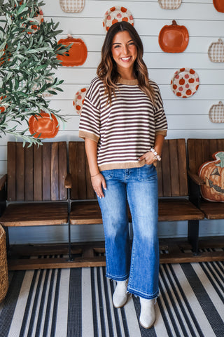 Fall Fest Stripes • Brown Mix