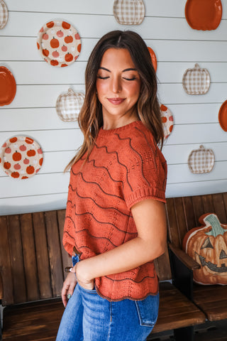 Rustic Ridge Pointelle Sweater • Rust/Brown