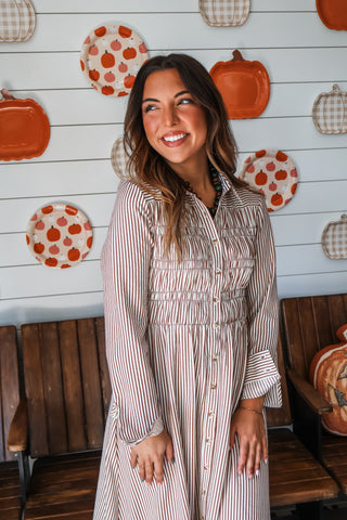 Another Story Shirtdress • Brown Stripes