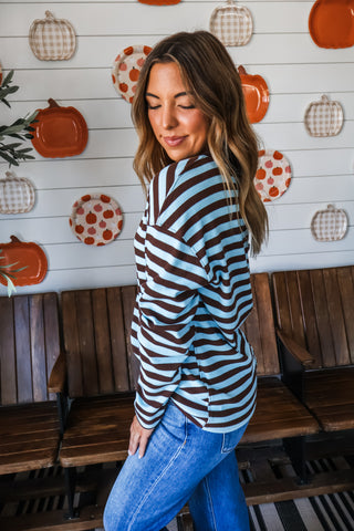 Easy Does It Stripes • Brown/Blue